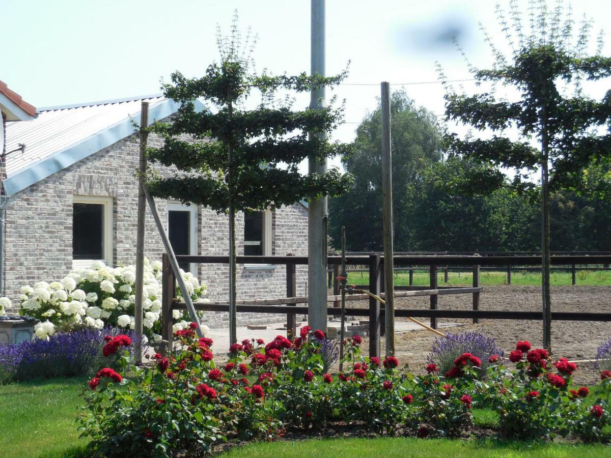 B & B " De 7 Sprong " Sevenum Exterior photo
